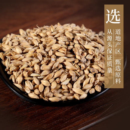 麦芽 药食同源康美中药饮片 独立小包装 商品图1