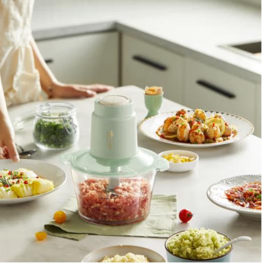 小熊（Bear） 绞肉机家用 绞馅机 碎肉机 电动多功能料理搅拌打肉饺子肉馅蒜蓉机【ZMD安心系列】 QSJ-E03K6  淘气 商品图1