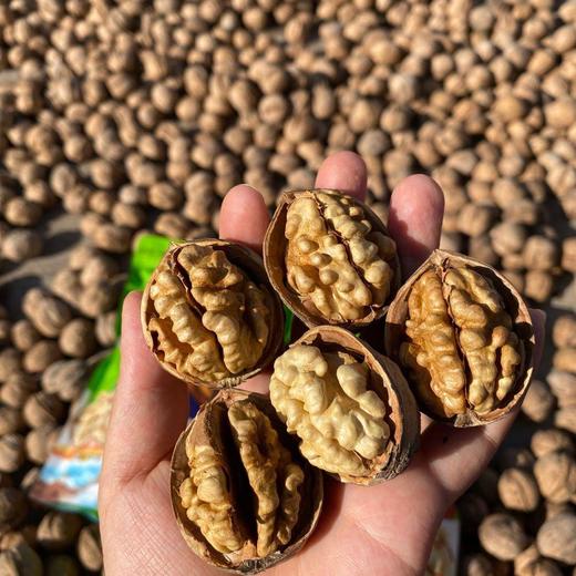 【核薄易取】2025年新货新疆阿克苏温宿185纸皮核桃·探疆人 商品图3