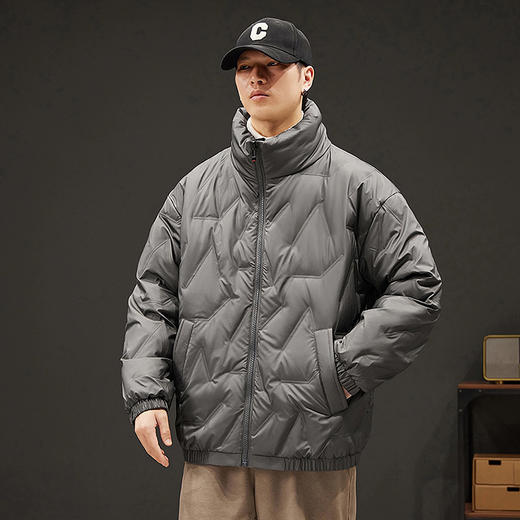 【新款DXC】大依优型大码立领羽绒服白鸭绒保暖加肥加大上衣男士外套胖子 商品图2