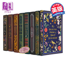 预售 【中商原版】永恒经典系列 世界经典文学 名著 Knickerbocker Timeless Classics 英文原版 爱丽丝梦游仙境 福尔摩斯 简奥斯丁