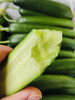 荷兰水果黄瓜。减肥降脂的主旋律，现摘水果小黄瓜🥒 —清脆爽口！口感微甜！要求农户不打药，不用保鲜剂！2.3斤/箱 商品缩略图0