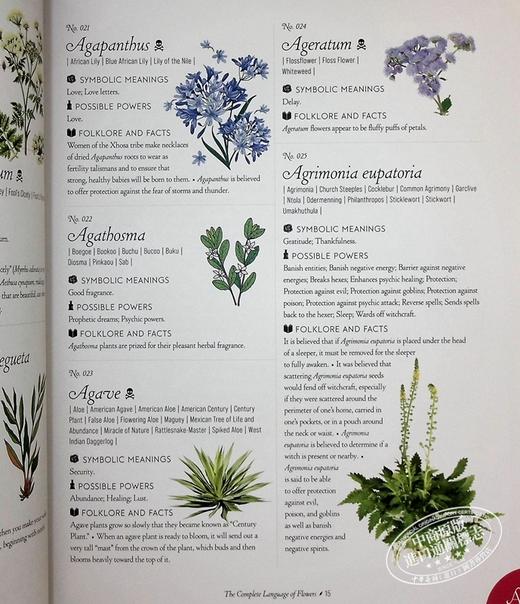 【中商原版】插图百科全书系列 花的完整语言 花语 The Complete Language of Flowers 英文原版 S Theresa Dietz 商品图7