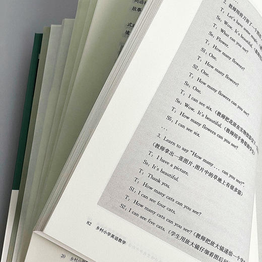 乡村小学英语教学 乡村教师培训丛书 小学英语教育 一线教学实践案例 新基础教育 正版 华东师范大学出版社 商品图9