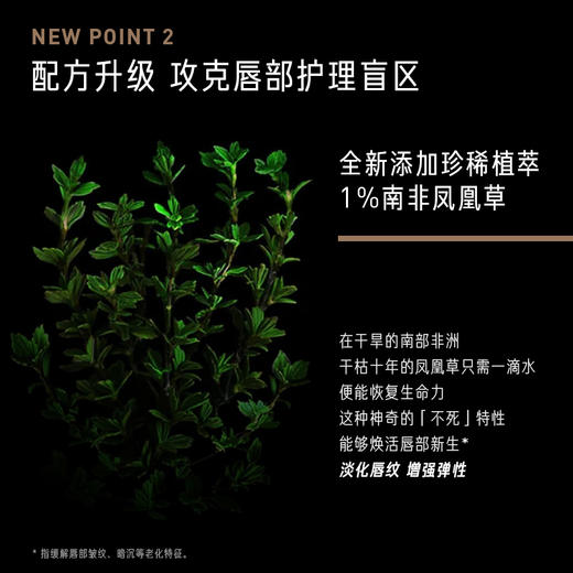 毕生之研咖啡淡纹修护唇霜 商品图1