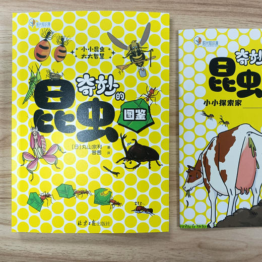 【阳光博客】奇妙的昆虫图鉴   用趣味漫画展现昆虫的神奇生活 商品图13