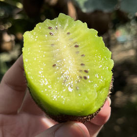 助力徐香猕猴桃，香甜多汁，富含维C，请您一起支持