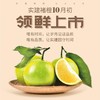 实建褚橙3KG 商品缩略图0
