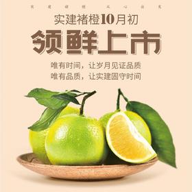 实建褚橙3KG