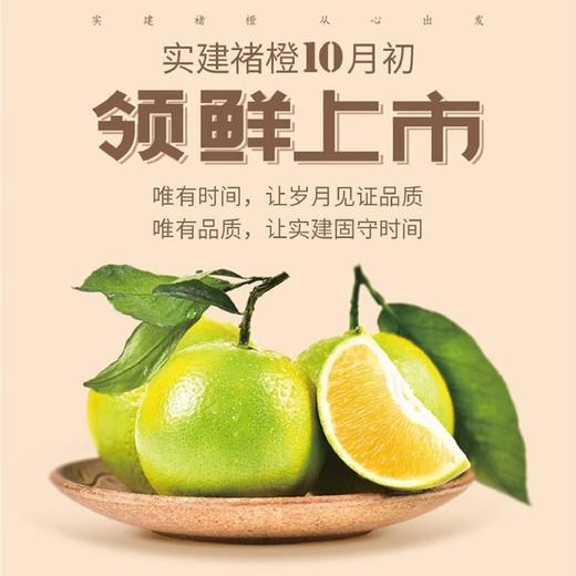 实建褚橙3KG 商品图0