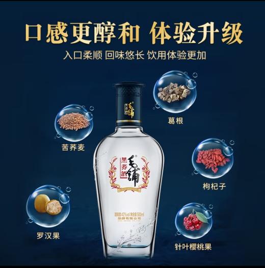 毛铺黑荞酒42度500ml 商品图0