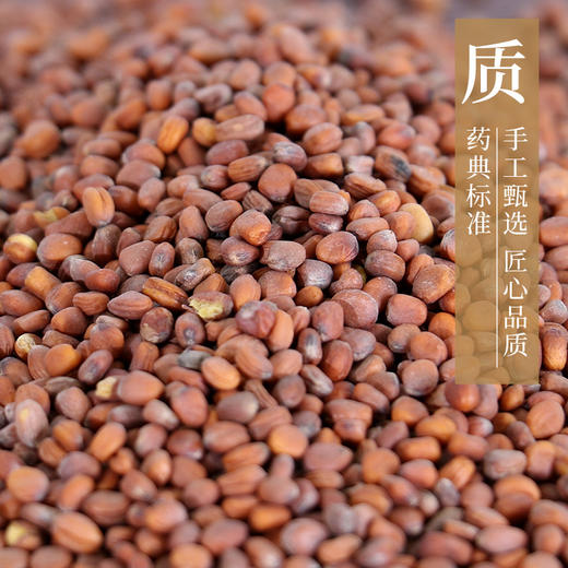 莱菔子/萝卜子 药食同源康美中药饮片 独立小包装 商品图2