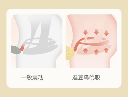 「社群直播专享」逗豆鸟 | 经典入门 吮吸不入体 德国红点设计大奖 商品图3