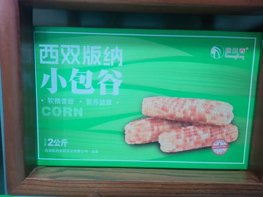 【土特产】花糯小包谷 2kg【BN】 商品图0