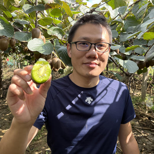 助力徐香猕猴桃，香甜多汁，富含维C，请您一起支持 商品图1