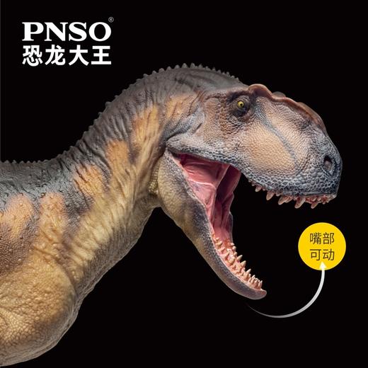 PNSO巨型永川龙大鹏恐龙大王成长陪伴模型76 商品图3