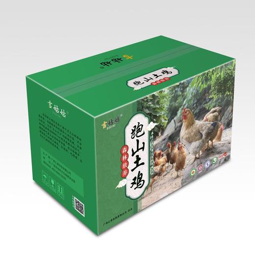 【A-005】【N】吉姑姑广西整鸡1只跑山黄油土鸡老母鸡广西十万大山放养月子鸡柴鸡新鲜现杀草鸡 商品图3