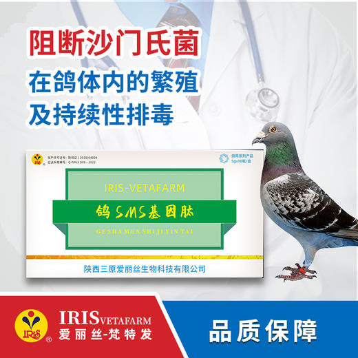 【爱丽丝】沙门氏基因肽5克 商品图0