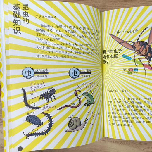 【阳光博客】奇妙的昆虫图鉴   用趣味漫画展现昆虫的神奇生活 商品图3