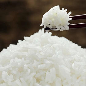  断货很久的大米，它终于来了！2023新粮等你抢先品鉴~ 