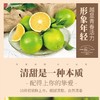 实建褚橙3KG 商品缩略图2