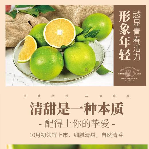 实建褚橙3KG 商品图2