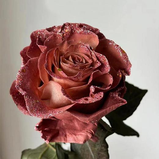 厄瓜多尔染色MISS AUTUMN秋小姐玫瑰10支 商品图1