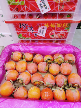 珍珠柿子一箱