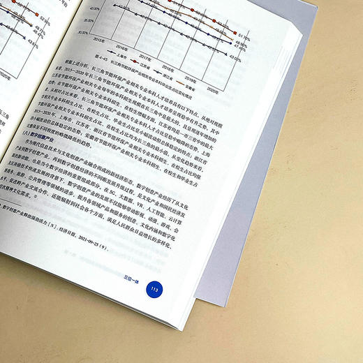 长三角教育现代化监测评估专题研究 第1辑 长三角教育现代化监测评估研究丛书 商品图10
