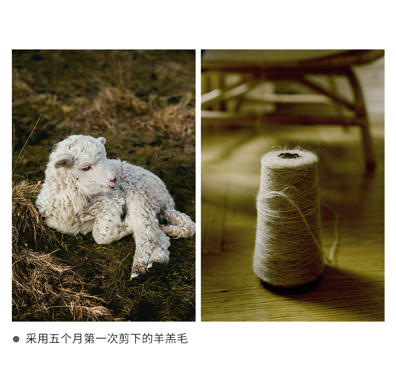 羊毛_03