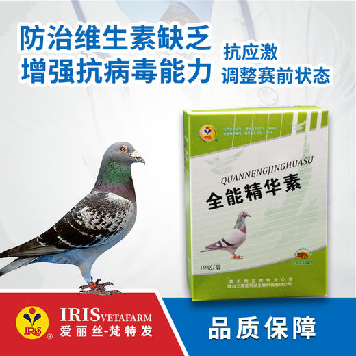 【爱丽丝】全能精华素100克 商品图0