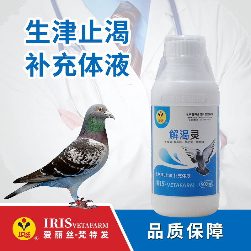 【爱丽丝】解渴灵500毫升