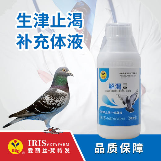 【爱丽丝】解渴灵500毫升 商品图0