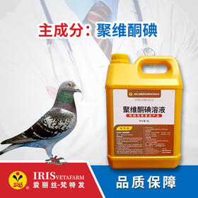 【爱丽丝】聚维酮碘溶液5L