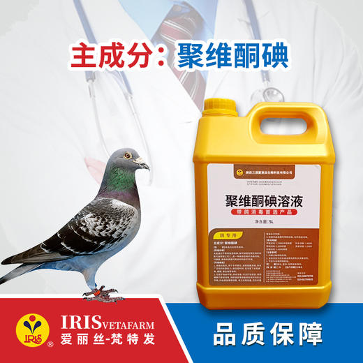 【爱丽丝】聚维酮碘溶液5L 商品图0