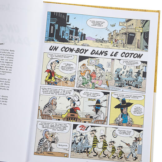 【中商原版】幸运的路克系列卷1-9 Lucky Luke 法文原版 Laurent Gerra 绘本 漫画 商品图1