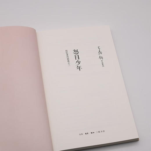 怒目少年 王鼎钧 著 散文 商品图2