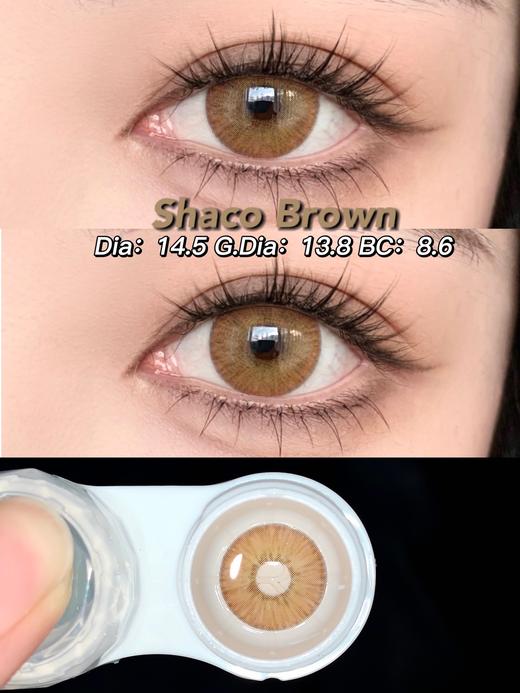 正品年抛 | Cococon系列纽约棕美瞳 | 直径14.5着色直径13.8 | 韩国产 商品图0