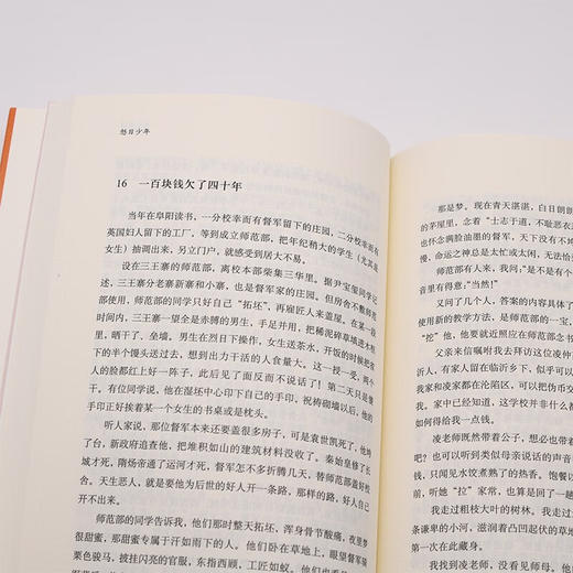怒目少年 王鼎钧 著 散文 商品图3