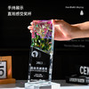新款水晶奖杯定制高档变色荣誉比赛颁奖销冠优秀员工团队奖杯订制 商品缩略图1
