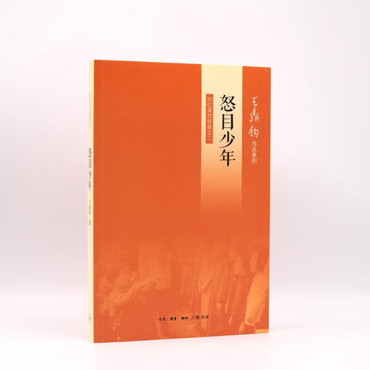 怒目少年 王鼎钧 著 散文 商品图1