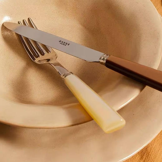【非同款】法国进口Sabre Paris艾可珍珠白法式复古不锈钢西餐具家用刀叉勺 商品图3