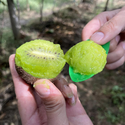 助力徐香猕猴桃，香甜多汁，富含维C，请您一起支持 商品图2