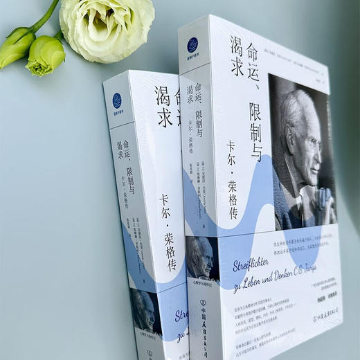 命运 限制与渴求 卡尔 荣格传 安妮拉·杰斐等 著 社会科学 商品图2