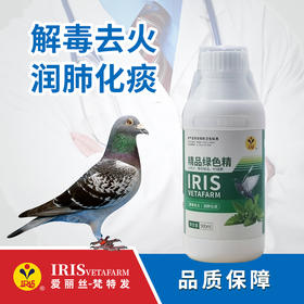 【爱丽丝】精品绿色精500毫升