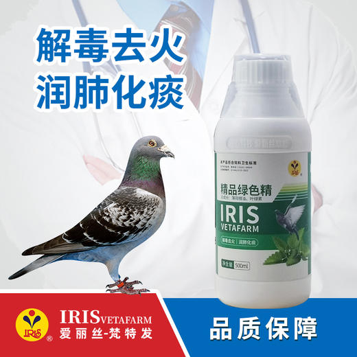 【爱丽丝】精品绿色精500毫升 商品图0