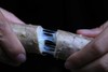 有机雪山山药｜养脾胃｜零农残｜现采挖现发货｜雅安顺丰 商品缩略图7
