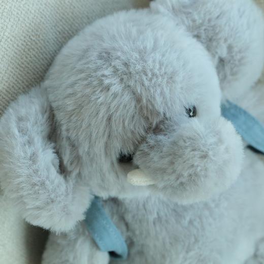 儿童玩偶礼物 公仔集合 老工厂出 摆烂狗狗 安抚八音盒兔子 万圣节南瓜熊 背包小象 彩色蛋糕 商品图4