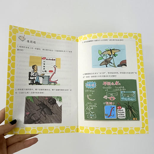 【阳光博客】奇妙的昆虫图鉴   用趣味漫画展现昆虫的神奇生活 商品图12