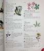 【中商原版】插图百科全书系列 花的完整语言 花语 The Complete Language of Flowers 英文原版 S Theresa Dietz 商品缩略图6